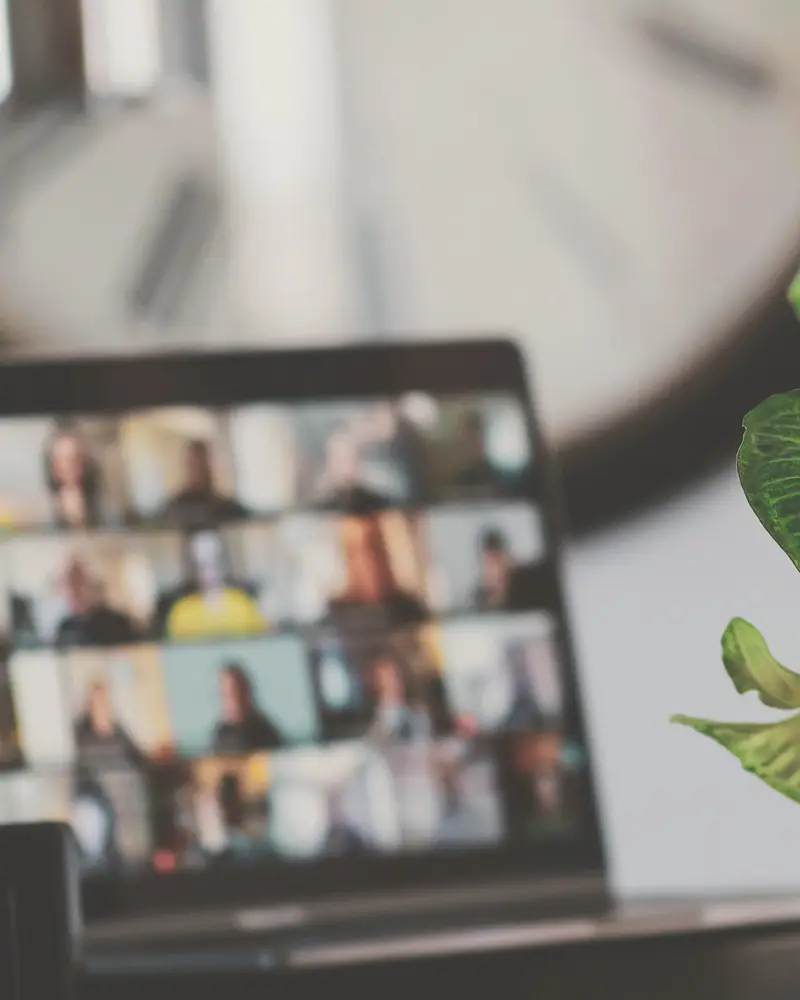 Laptop sa video pozivom pored sobne biljke